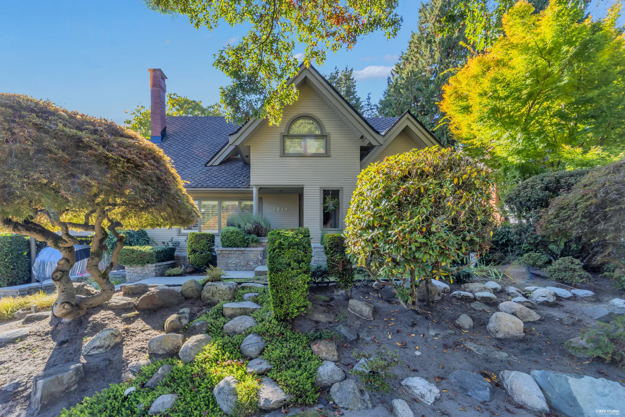 The Japanese maple over the rockery, the house behind, a golden tree at the side