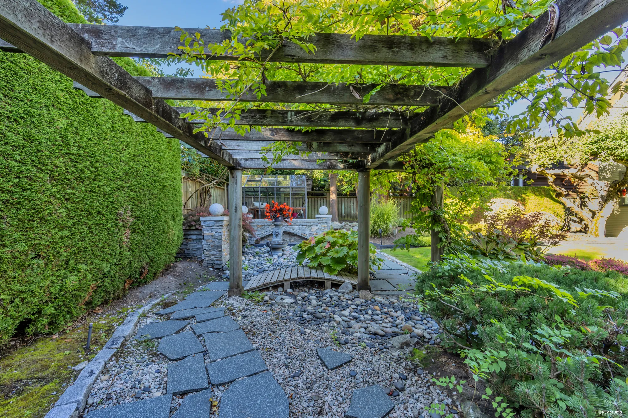 Under the pergola: a vine over the timbers, a stone path, the hedge on the left