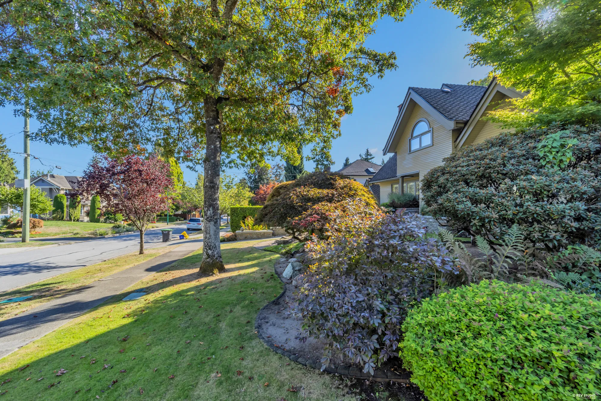 The house from across the street under a large tree, the lawn and the boulevard in front